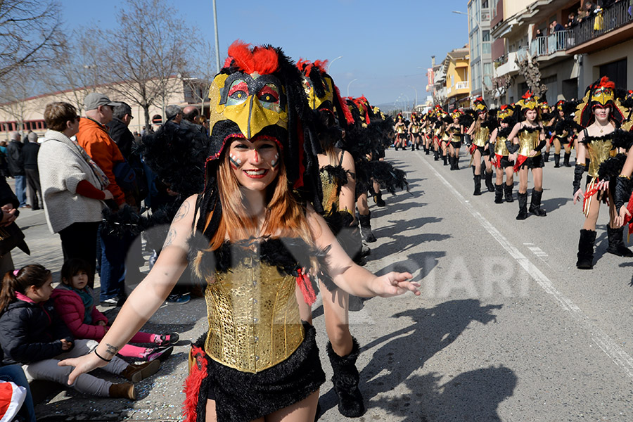 Rua del Carnaval de Santa Margarida i els Monjos 2017. Rua del Carnaval de Santa Margarida i els Monjos 2017