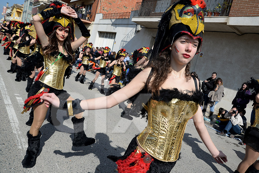 Rua del Carnaval de Santa Margarida i els Monjos 2017. Rua del Carnaval de Santa Margarida i els Monjos 2017