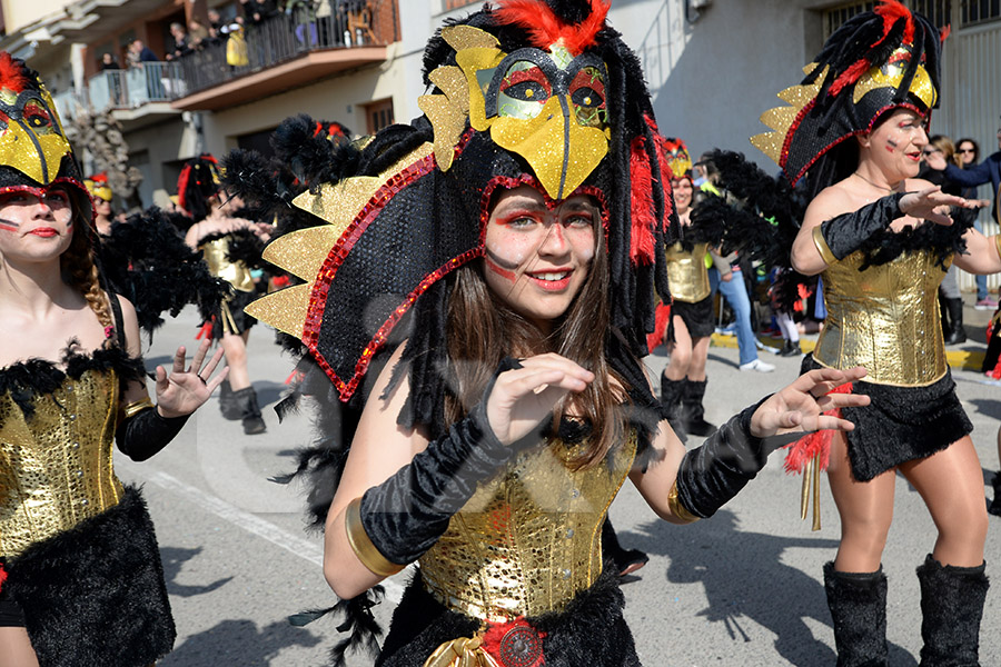 Rua del Carnaval de Santa Margarida i els Monjos 2017. Rua del Carnaval de Santa Margarida i els Monjos 2017