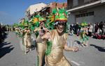 Rua del Carnaval de Santa Margarida i els Monjos 2017