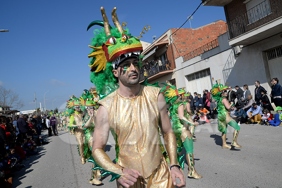 Rua del Carnaval de Santa Margarida i els Monjos 2017