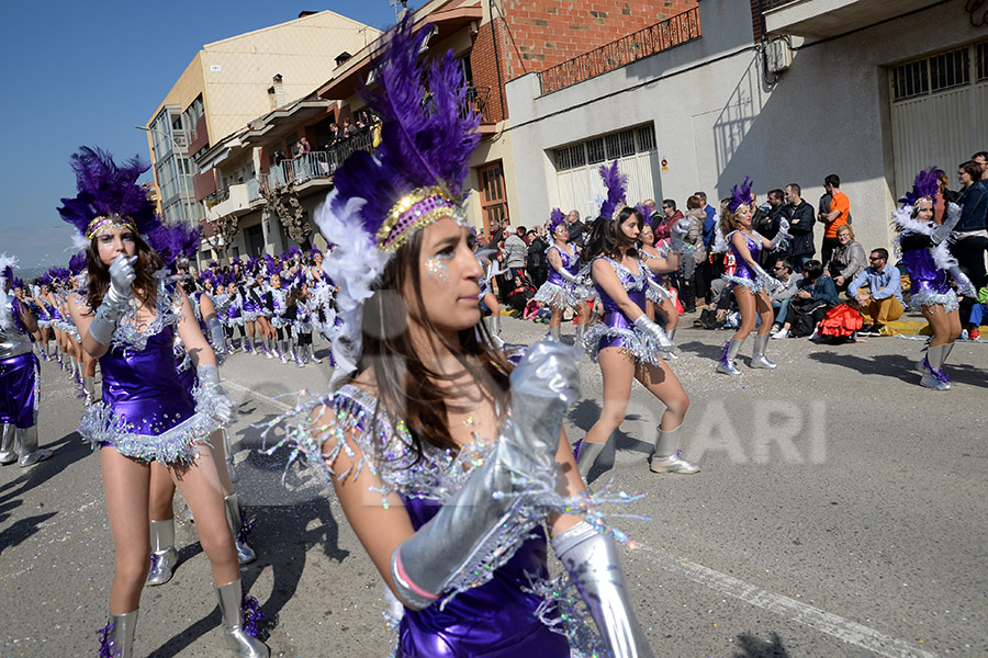 Rua del Carnaval de Santa Margarida i els Monjos 2017. Rua del Carnaval de Santa Margarida i els Monjos 2017