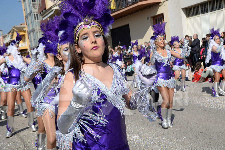 Rua del Carnaval de Santa Margarida i els Monjos 2017