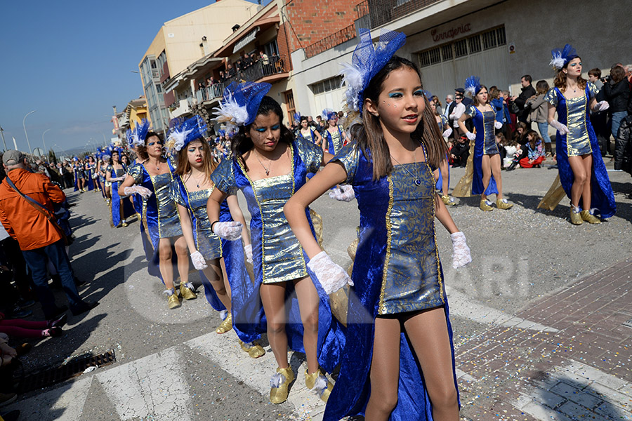 Rua del Carnaval de Santa Margarida i els Monjos 2017