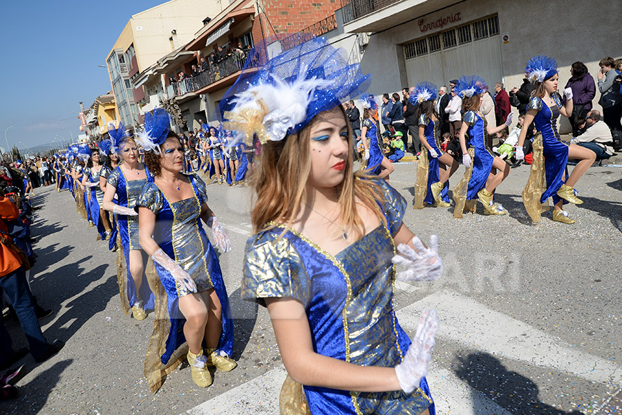 Rua del Carnaval de Santa Margarida i els Monjos 2017. Rua del Carnaval de Santa Margarida i els Monjos 2017