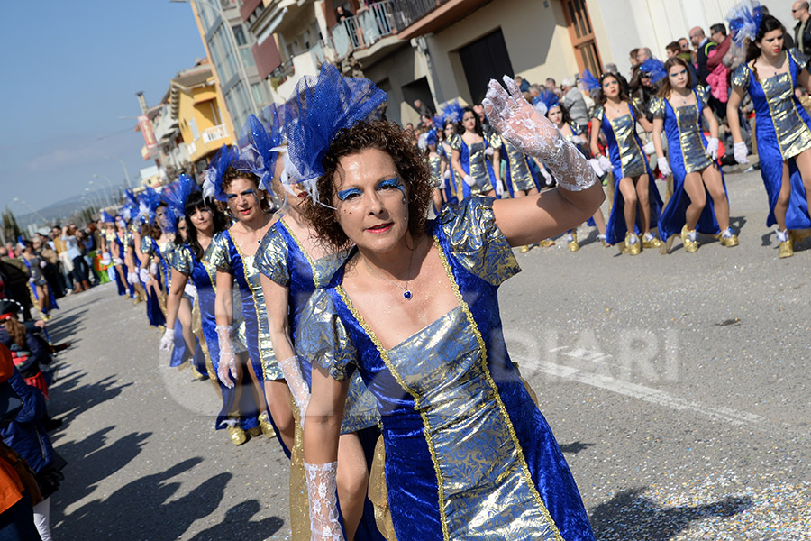 Rua del Carnaval de Santa Margarida i els Monjos 2017. Rua del Carnaval de Santa Margarida i els Monjos 2017