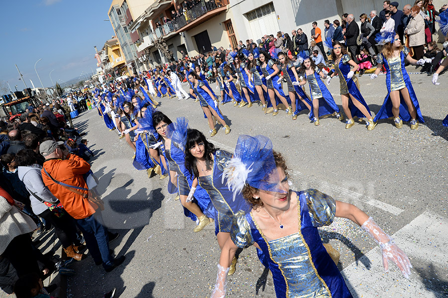 Rua del Carnaval de Santa Margarida i els Monjos 2017. Rua del Carnaval de Santa Margarida i els Monjos 2017