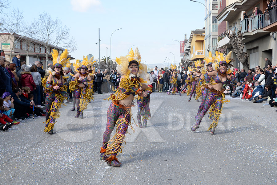 Rua del Carnaval de Santa Margarida i els Monjos 2017