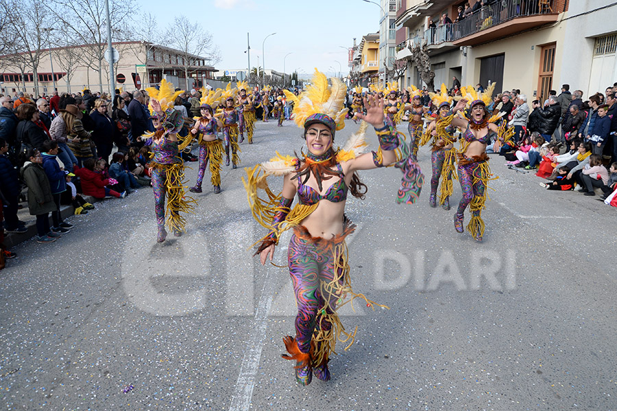 Rua del Carnaval de Santa Margarida i els Monjos 2017