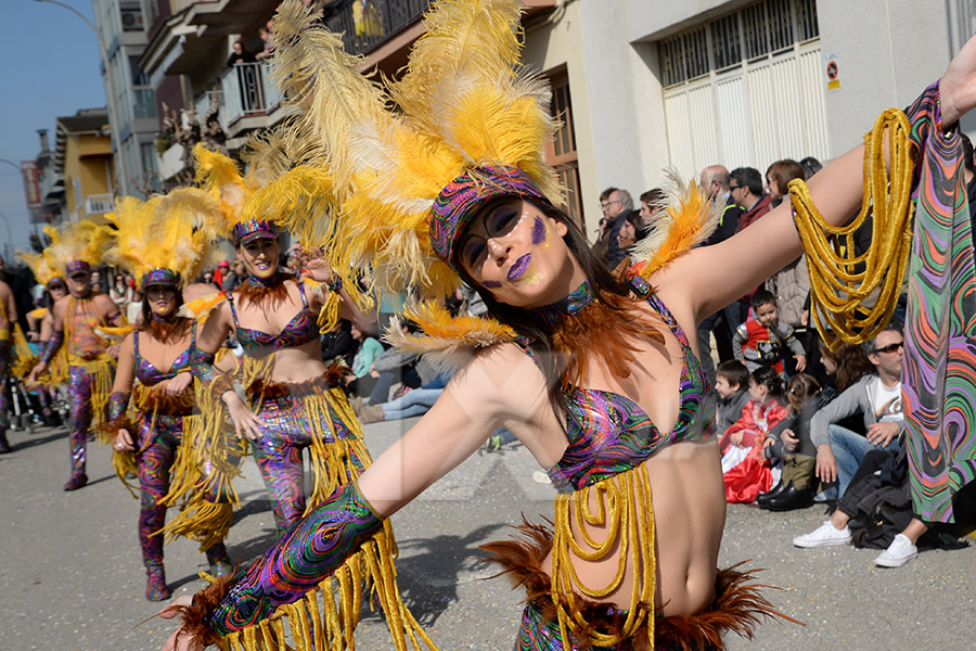 Rua del Carnaval de Santa Margarida i els Monjos 2017. Rua del Carnaval de Santa Margarida i els Monjos 2017