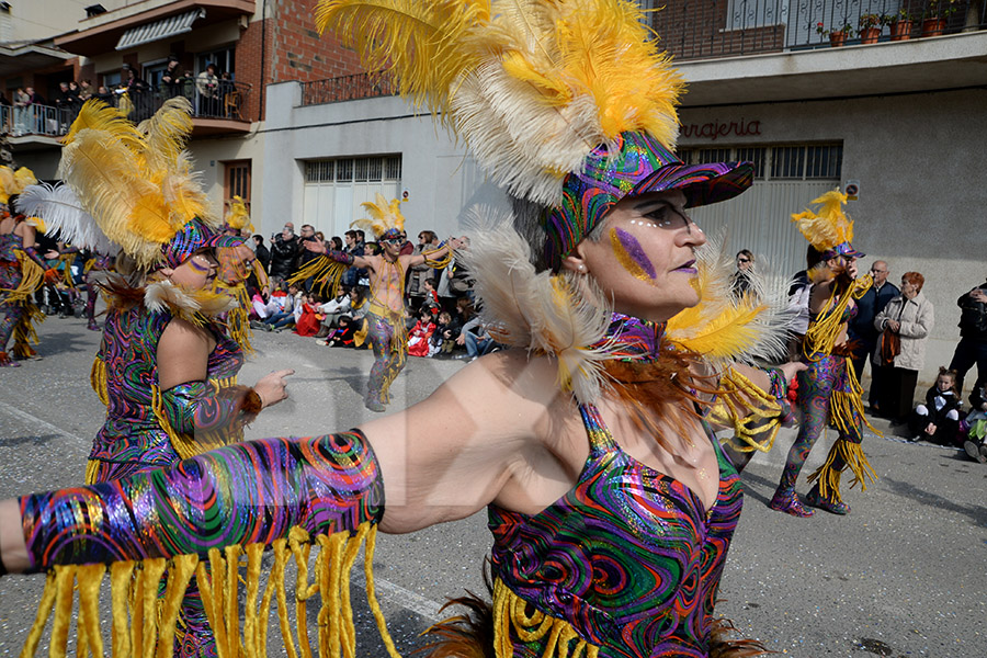 Rua del Carnaval de Santa Margarida i els Monjos 2017. Rua del Carnaval de Santa Margarida i els Monjos 2017