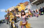 Rua del Carnaval de Santa Margarida i els Monjos 2017