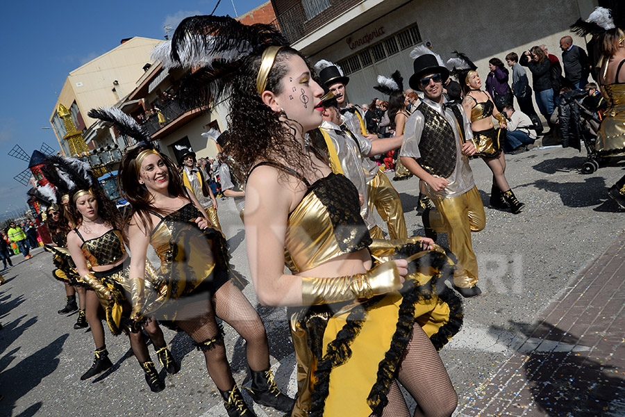 Rua del Carnaval de Santa Margarida i els Monjos 2017. Rua del Carnaval de Santa Margarida i els Monjos 2017