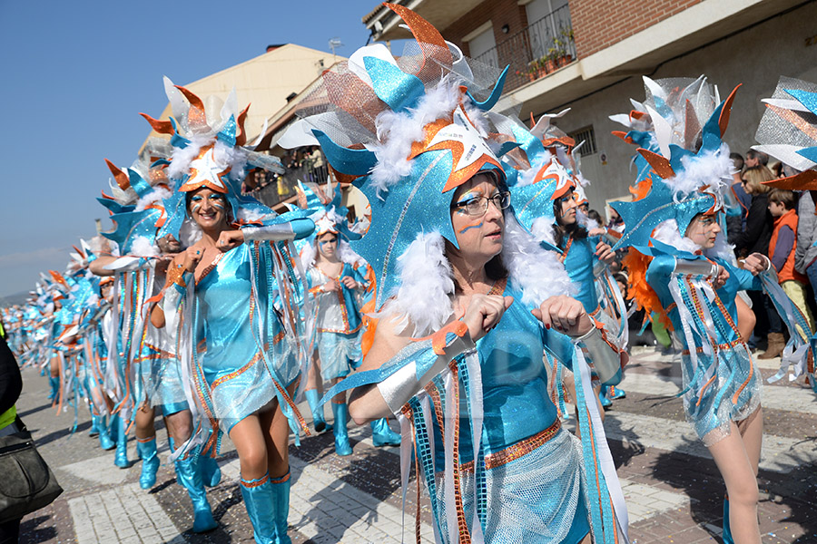 Rua del Carnaval de Santa Margarida i els Monjos 2017