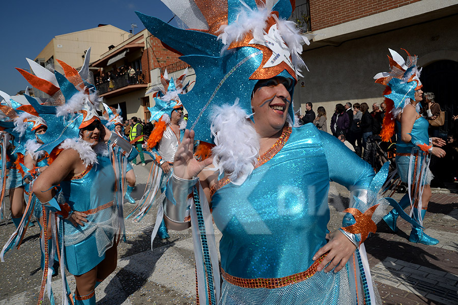 Rua del Carnaval de Santa Margarida i els Monjos 2017