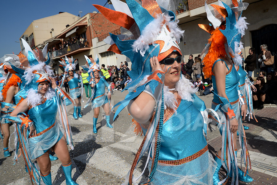 Rua del Carnaval de Santa Margarida i els Monjos 2017. Rua del Carnaval de Santa Margarida i els Monjos 2017