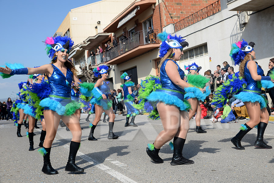 Rua del Carnaval de Santa Margarida i els Monjos 2017. Rua del Carnaval de Santa Margarida i els Monjos 2017