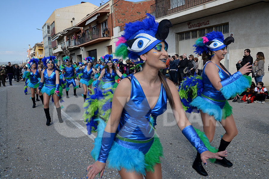 Rua del Carnaval de Santa Margarida i els Monjos 2017