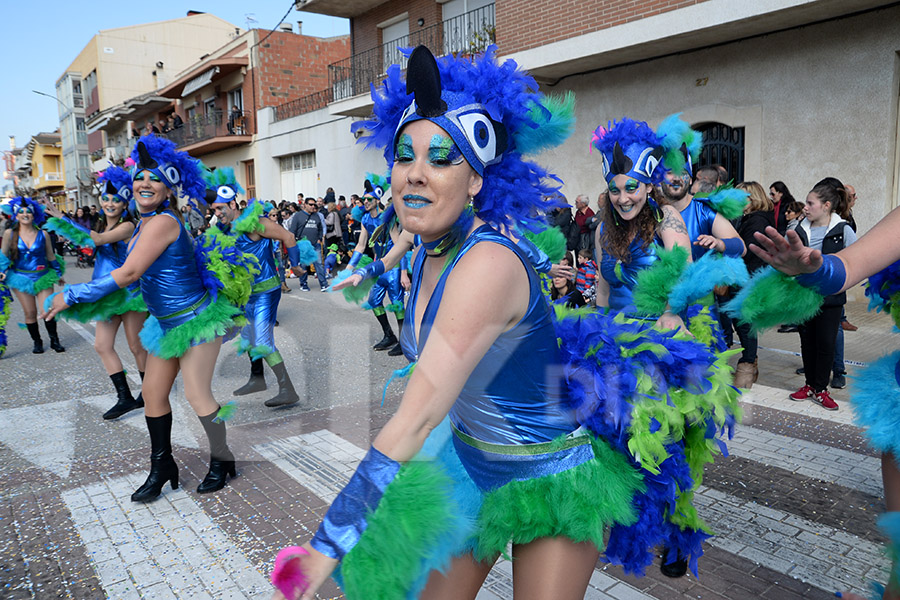 Rua del Carnaval de Santa Margarida i els Monjos 2017. Rua del Carnaval de Santa Margarida i els Monjos 2017