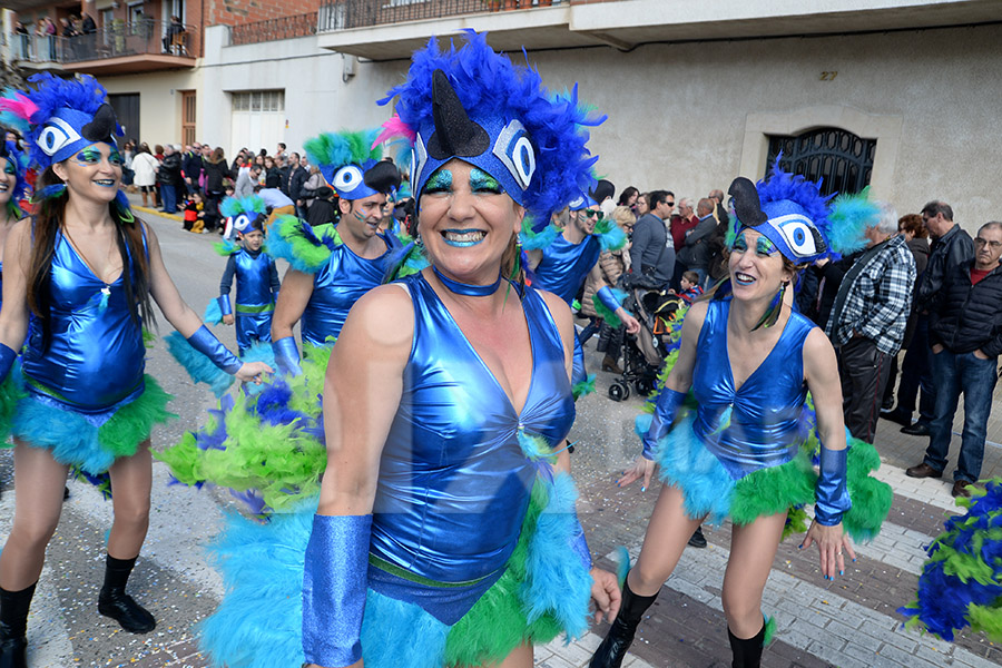 Rua del Carnaval de Santa Margarida i els Monjos 2017. Rua del Carnaval de Santa Margarida i els Monjos 2017