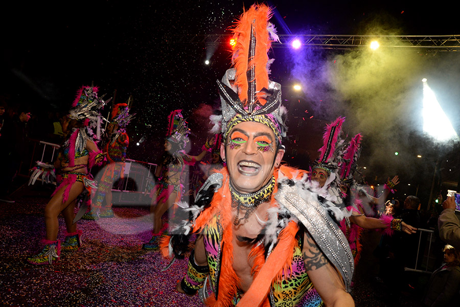 Rua del Carnaval del Vendrell 2017 (II). Rua del Carnaval del Vendrell 2017 (II)