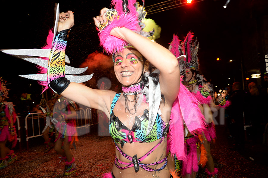 Rua del Carnaval del Vendrell 2017 (II). Rua del Carnaval del Vendrell 2017 (II)