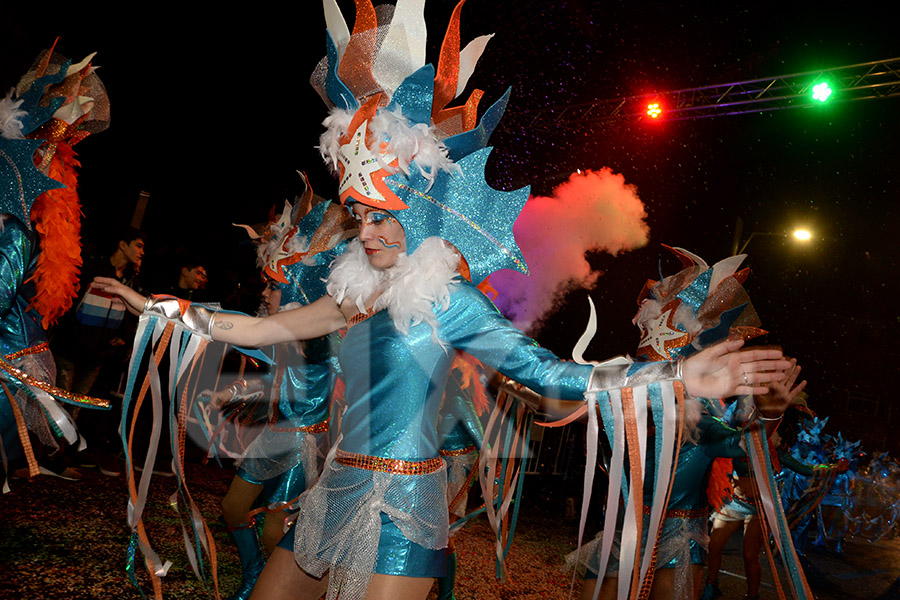 Rua del Carnaval del Vendrell 2017 (II)