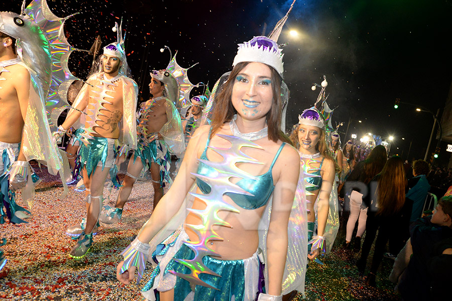 Rua del Carnaval del Vendrell 2017 (II)