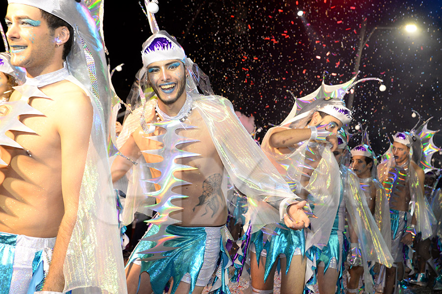 Rua del Carnaval del Vendrell 2017 (II)