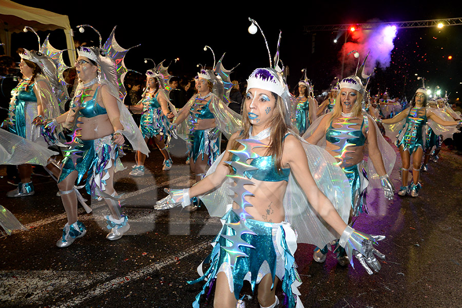 Rua del Carnaval del Vendrell 2017 (II)