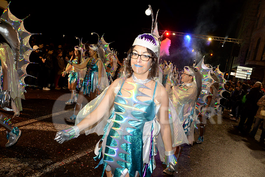 Rua del Carnaval del Vendrell 2017 (II). Rua del Carnaval del Vendrell 2017 (II)