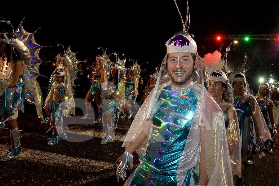 Rua del Carnaval del Vendrell 2017 (II). Rua del Carnaval del Vendrell 2017 (II)