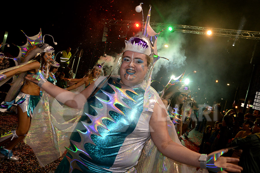 Rua del Carnaval del Vendrell 2017 (II)