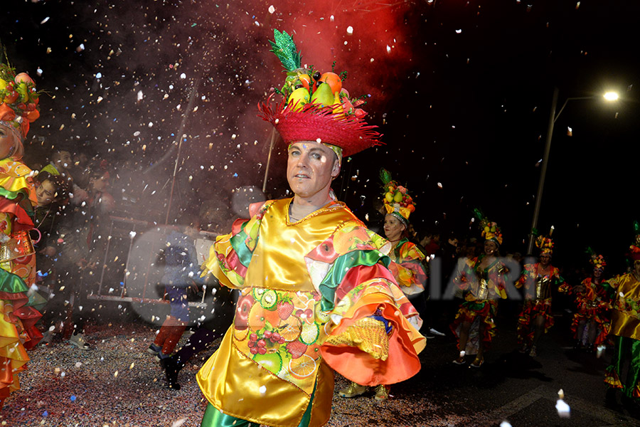 Rua del Carnaval del Vendrell 2017 (II)