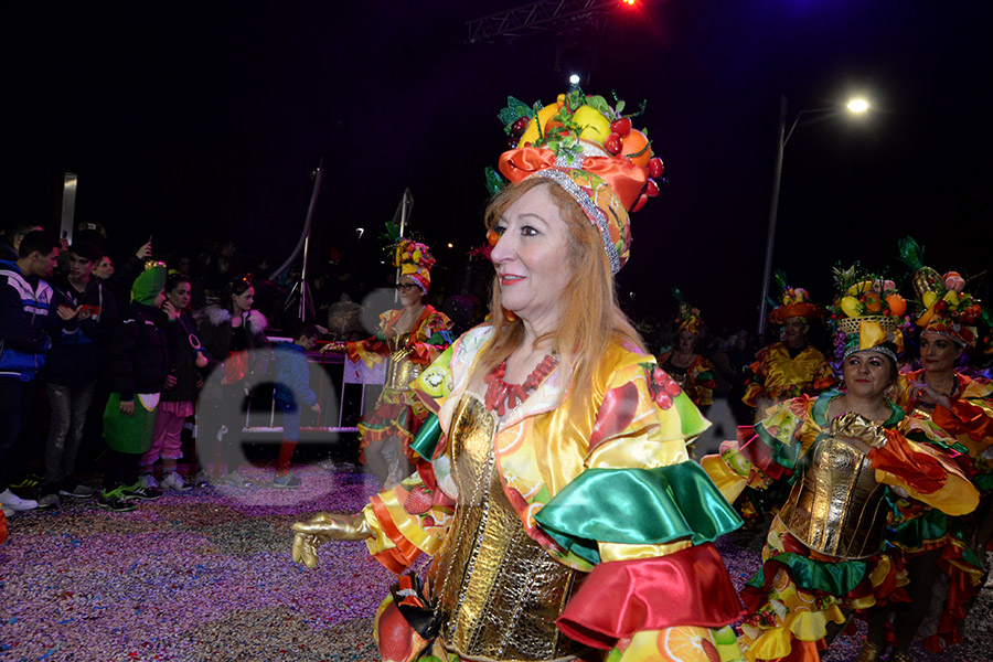 Rua del Carnaval del Vendrell 2017 (II)