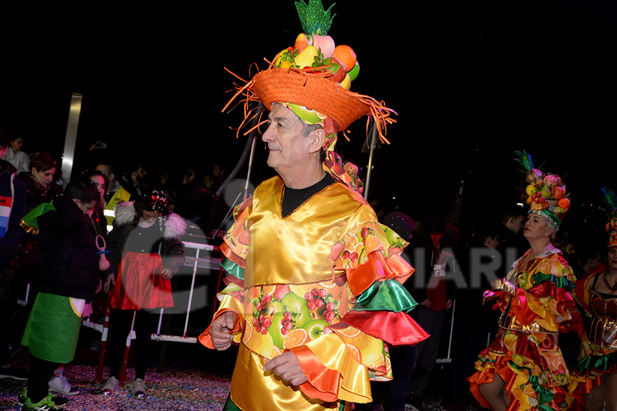 Rua del Carnaval del Vendrell 2017 (II)