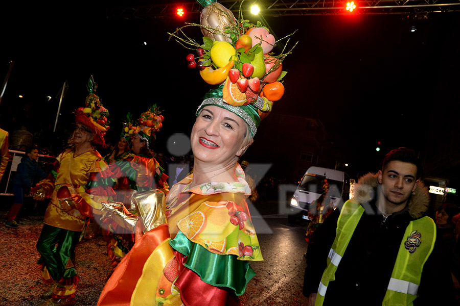 Rua del Carnaval del Vendrell 2017 (II)