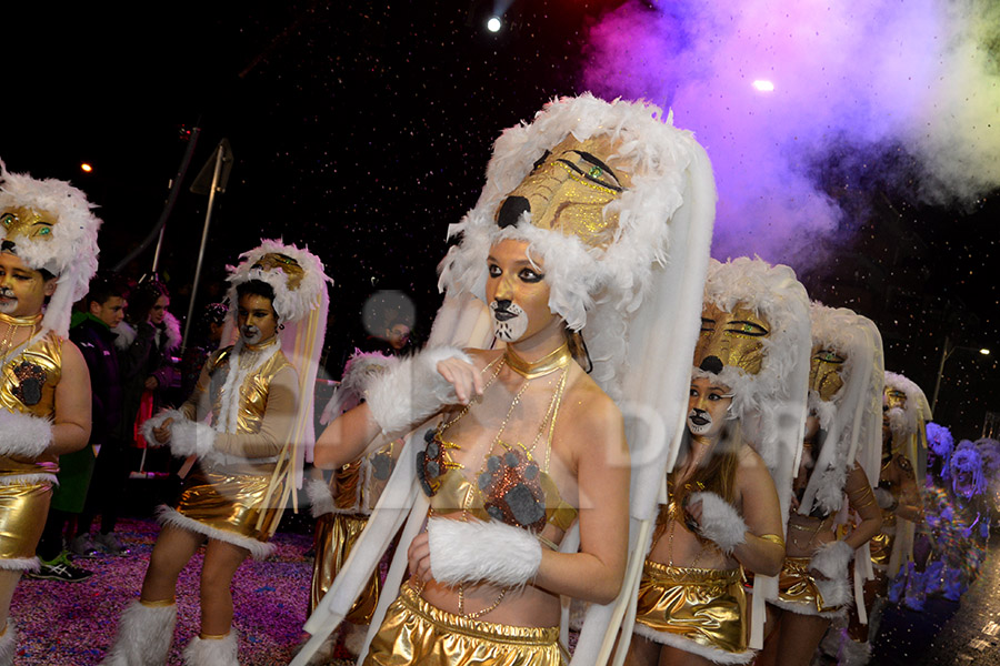 Rua del Carnaval del Vendrell 2017 (II). Rua del Carnaval del Vendrell 2017 (II)