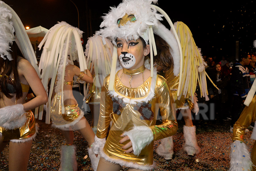 Rua del Carnaval del Vendrell 2017 (II). Rua del Carnaval del Vendrell 2017 (II)