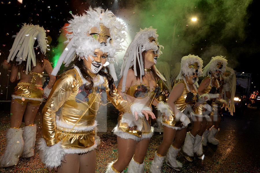 Rua del Carnaval del Vendrell 2017 (II). Rua del Carnaval del Vendrell 2017 (II)
