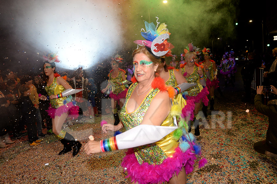 Rua del Carnaval del Vendrell 2017 (II)