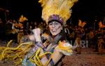 Rua del Carnaval del Vendrell 2017 (II)