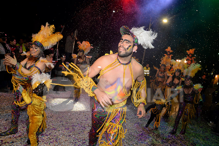 Rua del Carnaval del Vendrell 2017 (II)