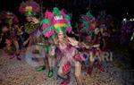 Rua del Carnaval del Vendrell 2017 (I)