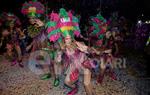 Rua del Carnaval del Vendrell 2017 (I)