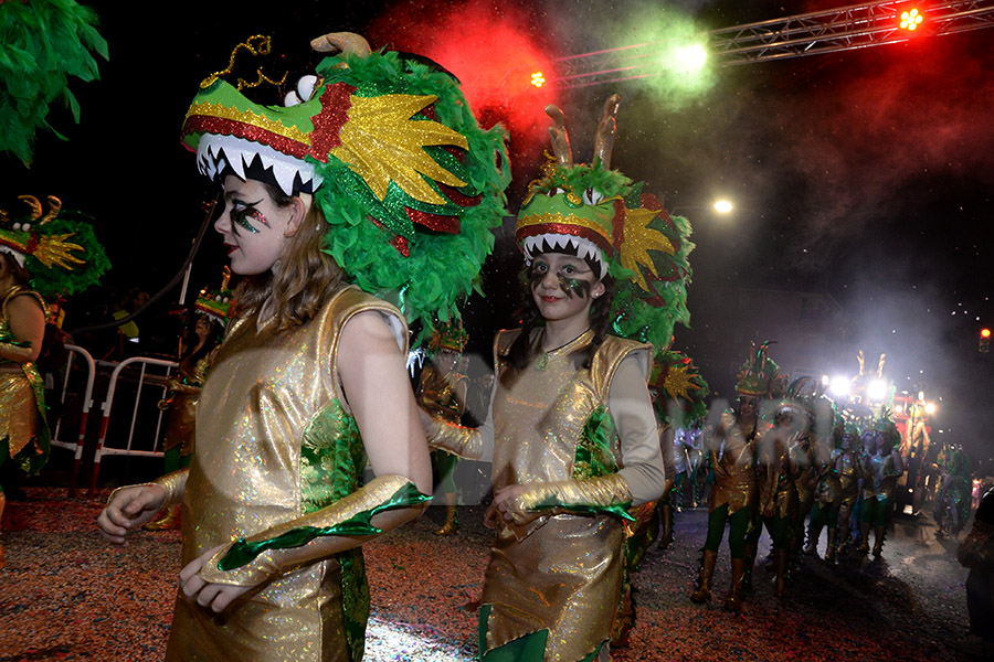 Rua del Carnaval del Vendrell 2017 (I). Rua del Carnaval del Vendrell 2017 (I)