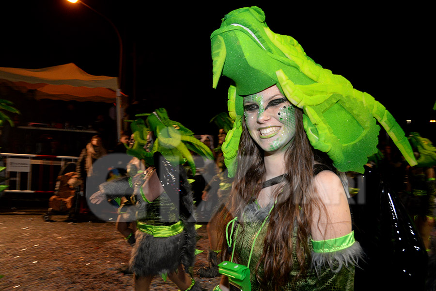 Rua del Carnaval del Vendrell 2017 (I)