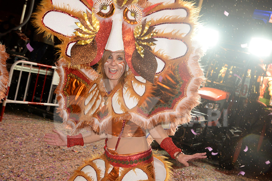 Rua del Carnaval del Vendrell 2017 (I)