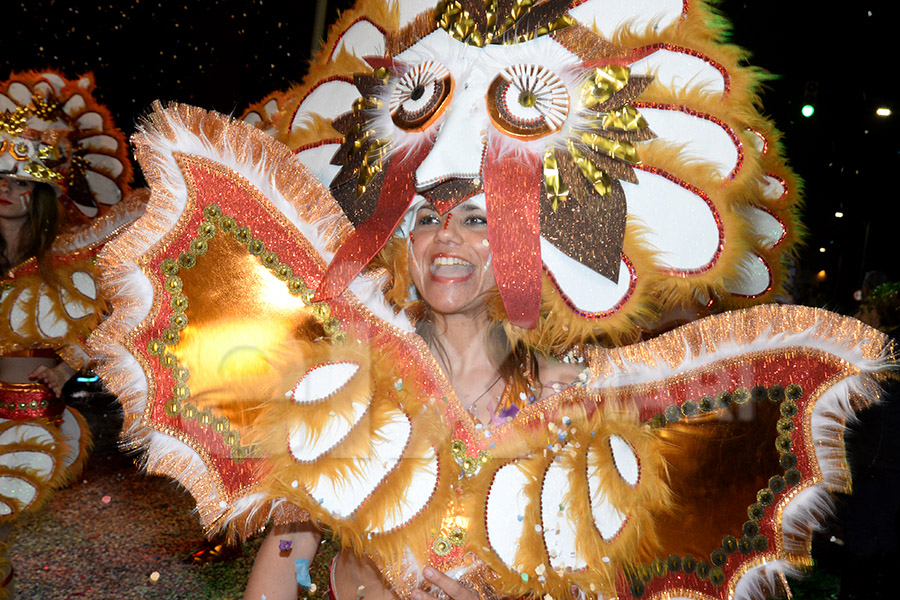 Rua del Carnaval del Vendrell 2017 (I)