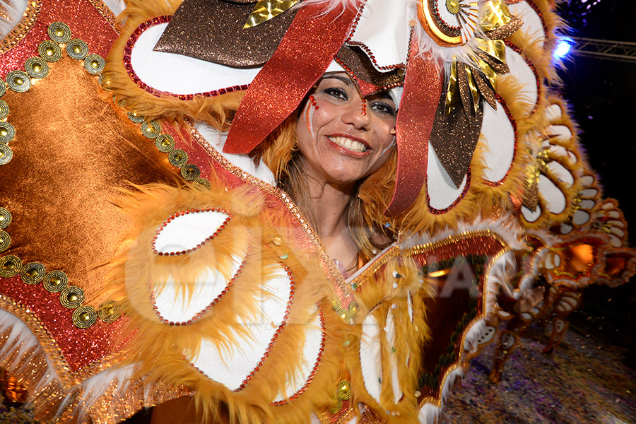 Rua del Carnaval del Vendrell 2017 (I). Rua del Carnaval del Vendrell 2017 (I)